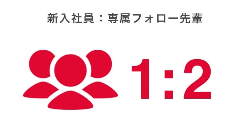 新入社員と専属フォロー先輩の比率は1対2